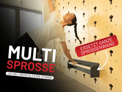 Multisprosse